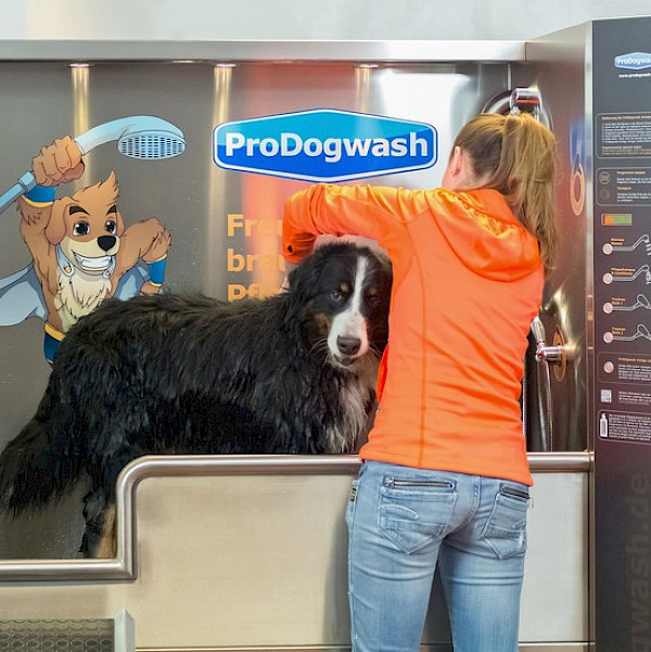 Erste-Hilfe-Set für Hund & Halter + Eintrag - dog inn baden - Öffentliches  Hundehallenschwimmbad